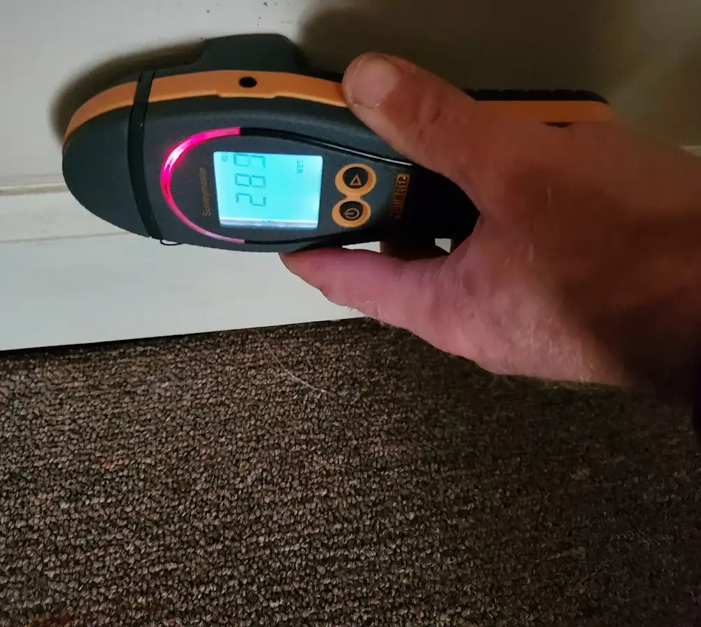 Moisture detection at baseboard during Mold Inspection & Testing in Coral Hills